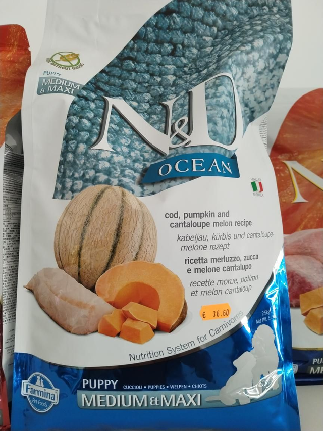 N&amp;D OCEAN MEDIUM&amp;MAXI PUPPY 
