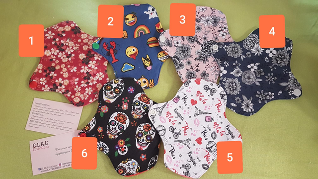 Protège slip (modèles au choix)