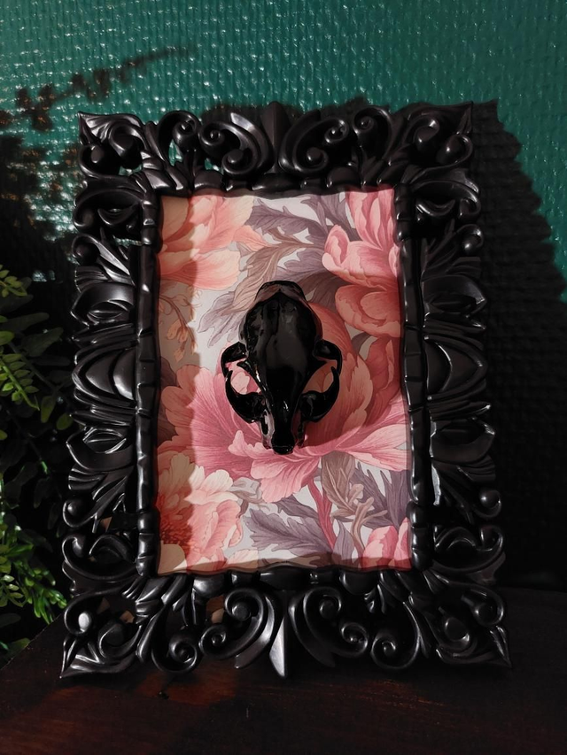 Cadre noir et rose baroque avec crâne chat 