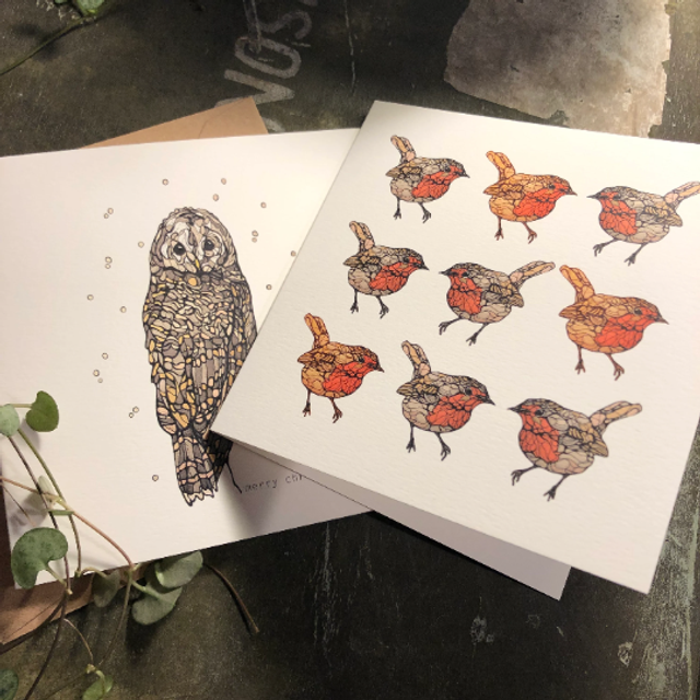 Card - Christmas - pack of 6 - owl and robin designs