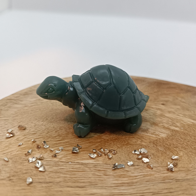 Tortue - Vert Foncé
