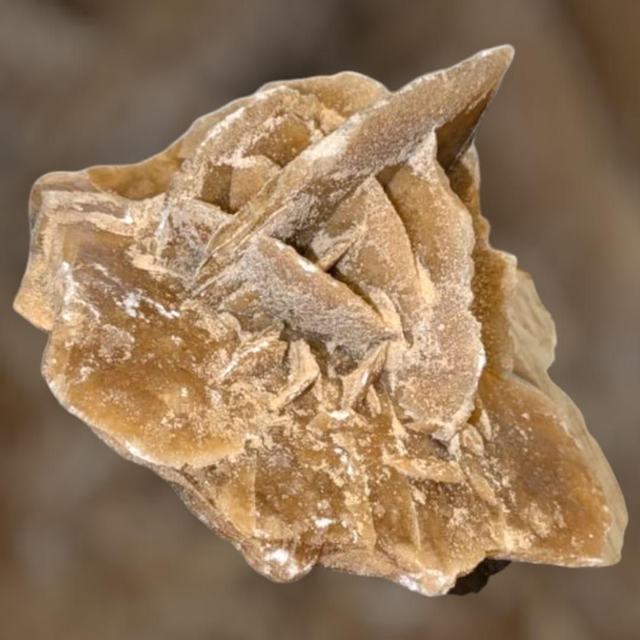 Rose des sables 295 gr