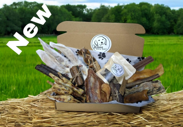 Wilsons Mega Munch Box 