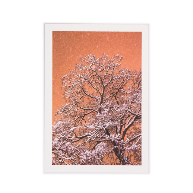 Carte double - Arbre sous la neige &quot;Comme une estampe&quot;