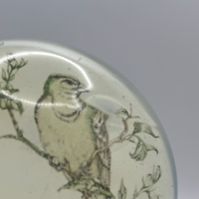 Archimede Seguso Murano Opaline Glass Paperweight with Birds