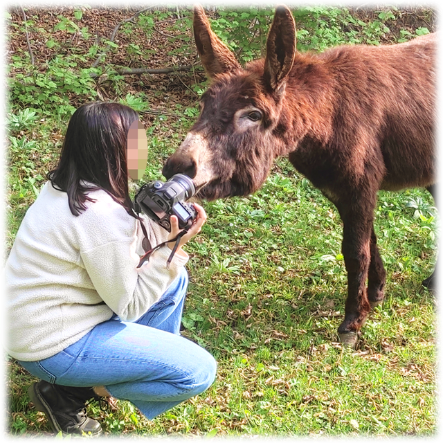 Coccole Love - Adotta un asinello