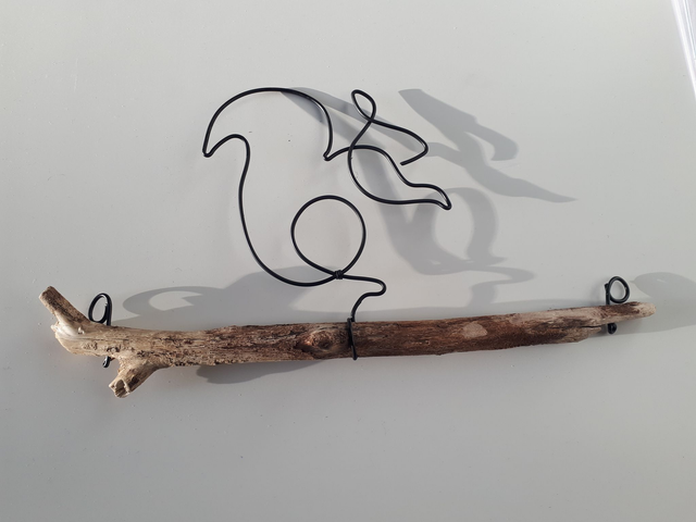 E4 -  Ecureuil  bois -