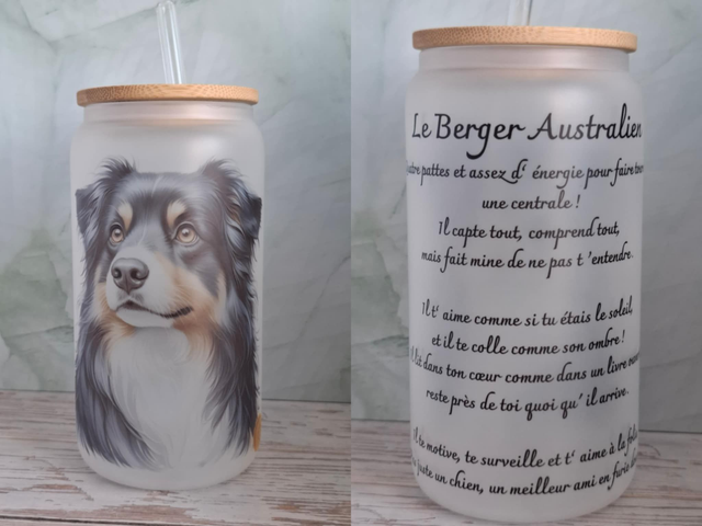 Givré Le berger australien