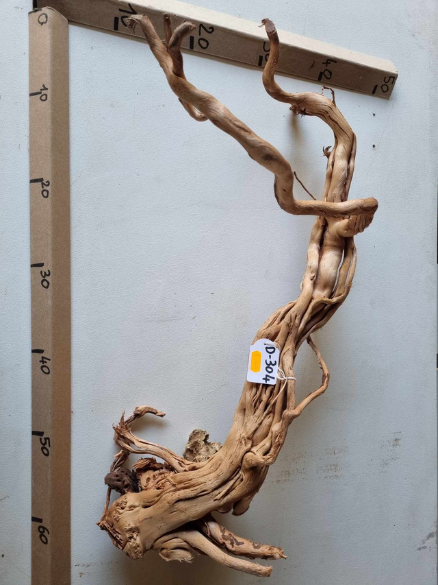 Racine Dragon Skin D-304