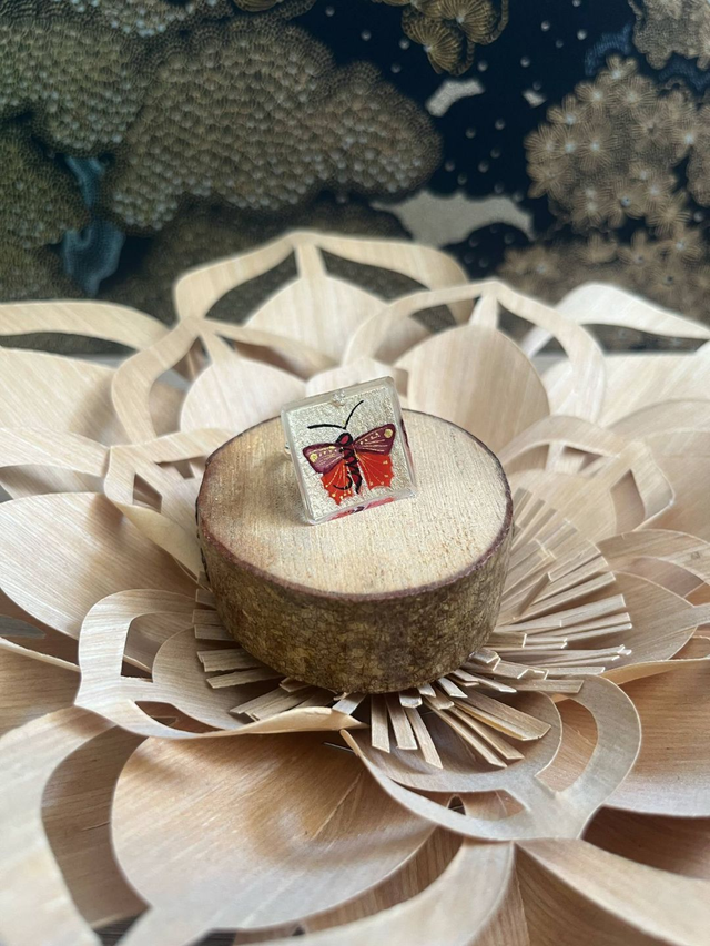 Envol (rouge lie de vin)