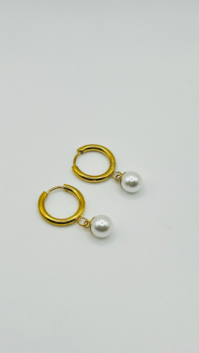 Stainless Steel Earrings (SSE37J)
