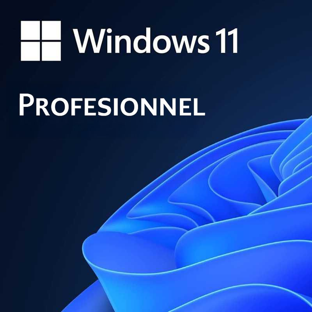 Licence Windows 11 Pro