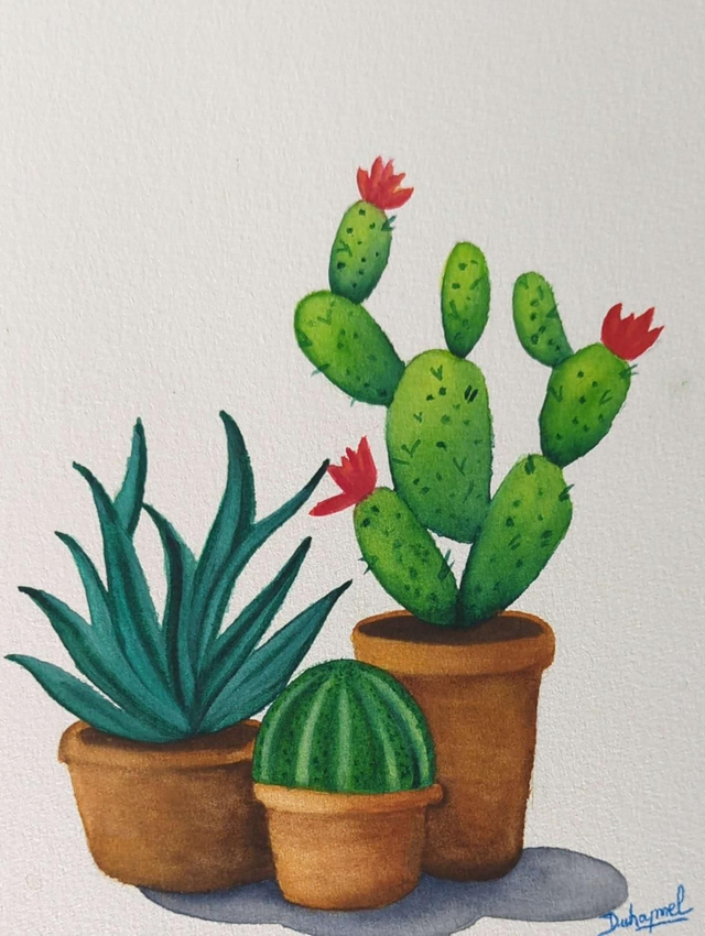 Cactus 1