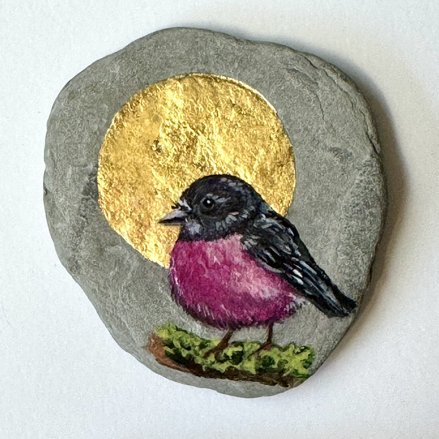Pretty in Pink - Aussie Robin