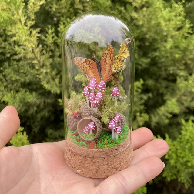 Papillon jaune champignons phosphorescents