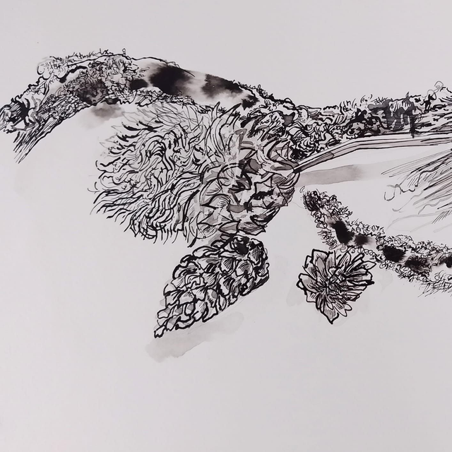 Thursday Watercolour, Pen and Ink Class