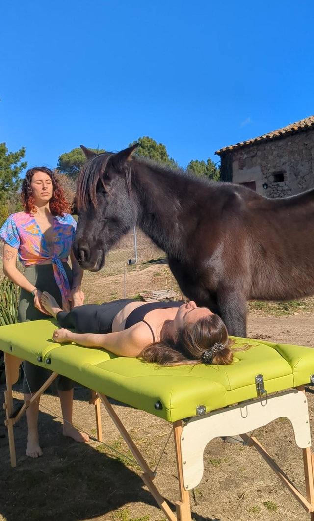 Reiki con caballos 2h
