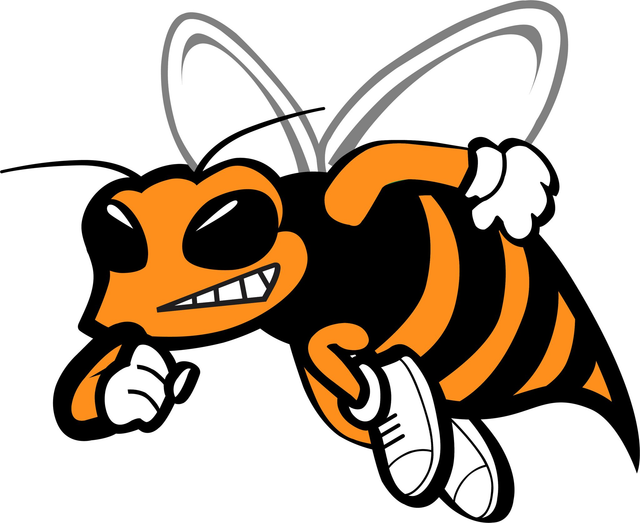 WSFRL - Stinger 13th July 2025 - 10:30am