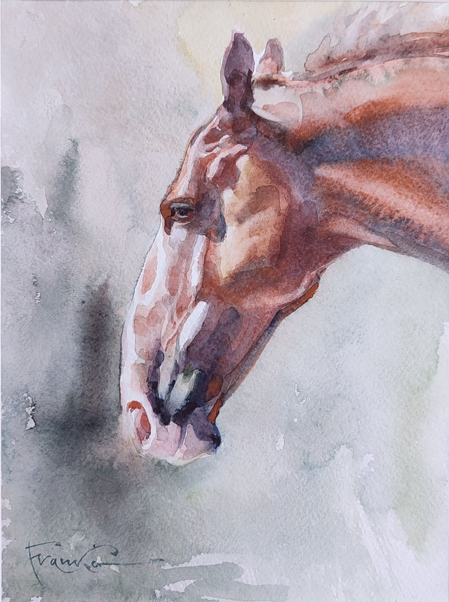 Koń, 35x28 (24x18 w świetle passe-partout) akwarela 2022