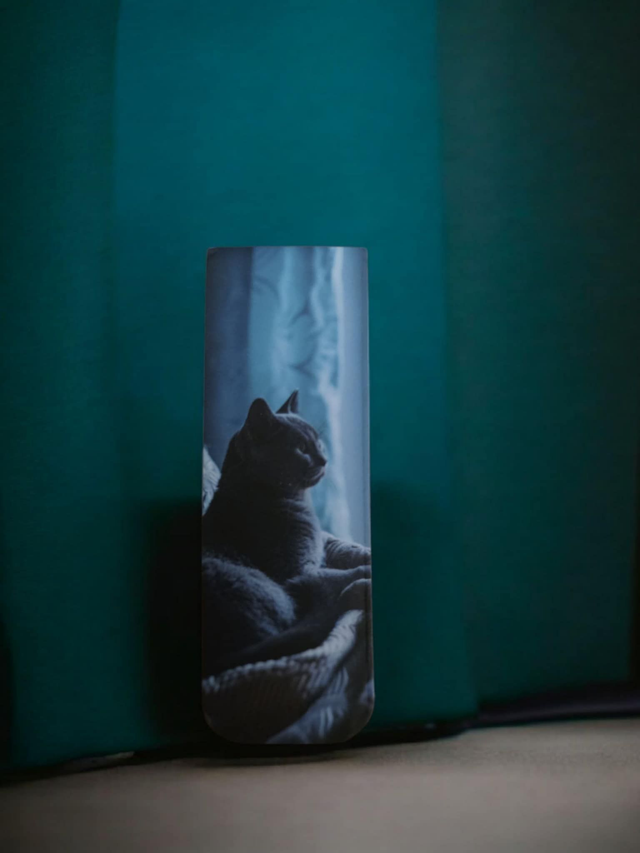 Marque page magnétique portrait de chat.D