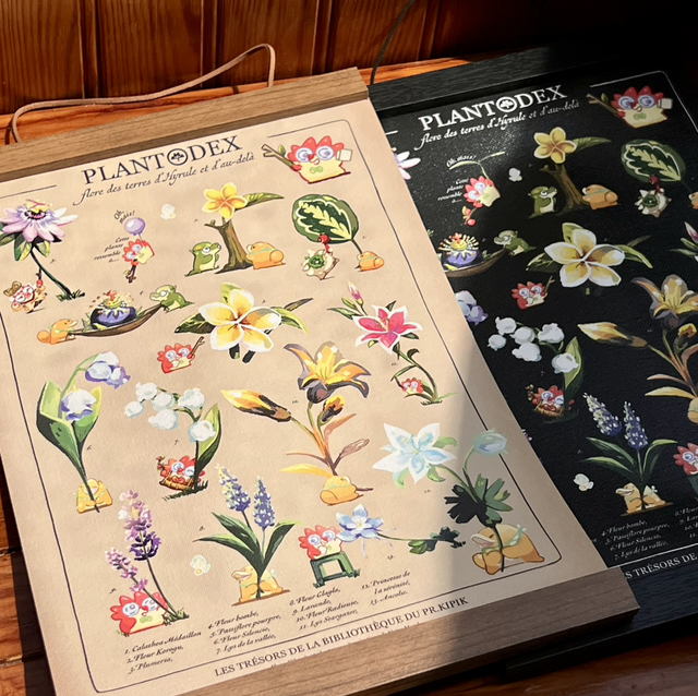 Toile A4/A3 - Plantodex Comparative d&#039;Hyrule 