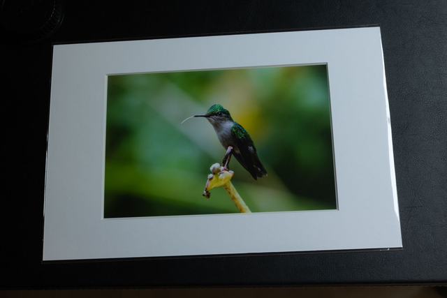 Tirage illimité Jade avec passe-partout