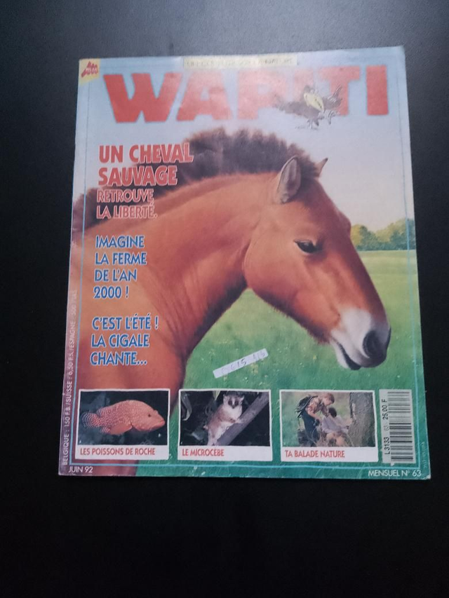 Cheval de Przewalski - Wapiti