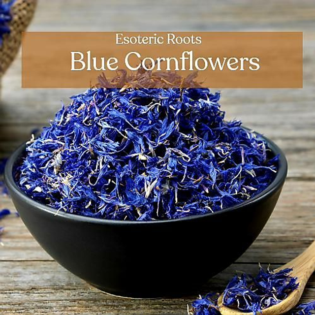 Blue Cornflower | 20g Visionary Curio | Intuition &amp; Folk Magic