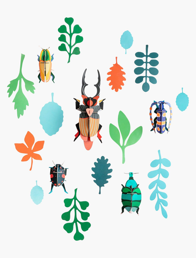 Beetle Antiquary