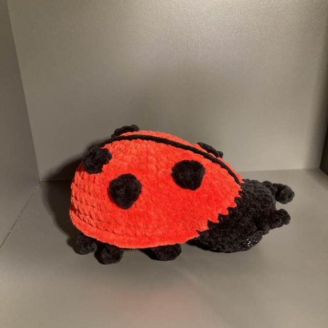 Coccinelle 
