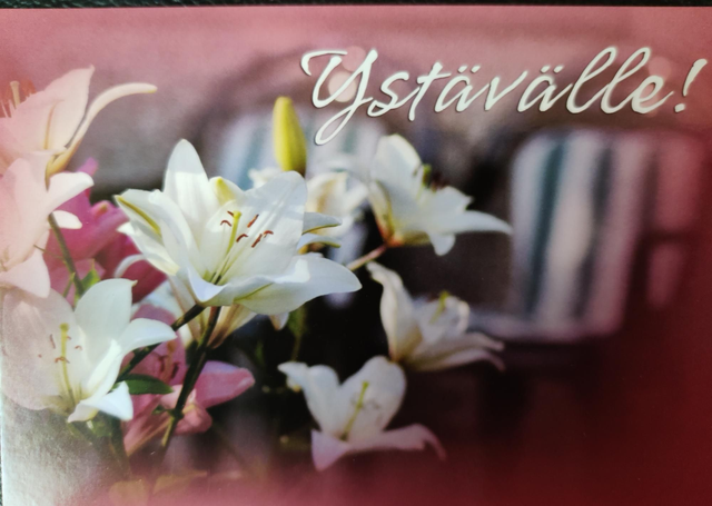 Postikortti Ystävälle!