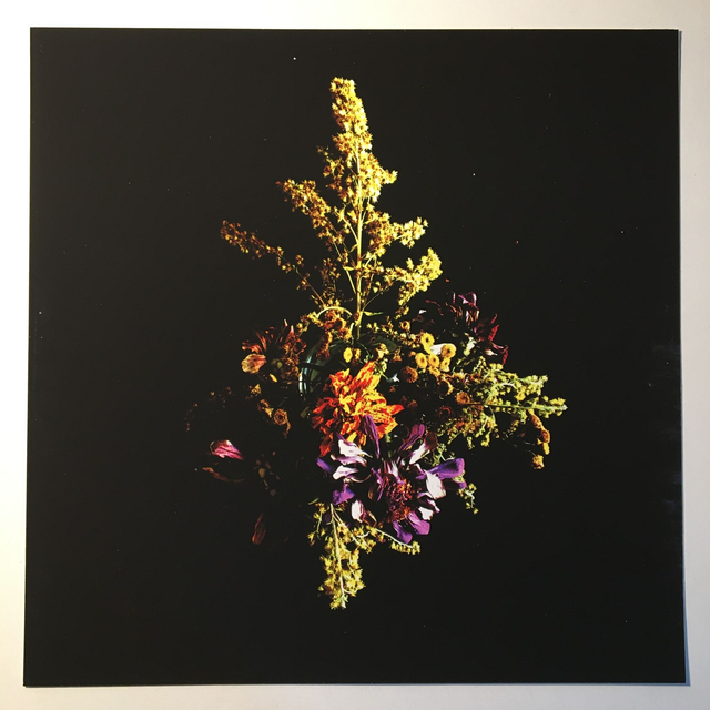 "Dry" - Tirage Photo FineArt (30x30 sans cadre)