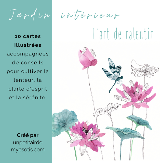 Jardin intérieur &quot;L&#039;art de ralentir&quot;
