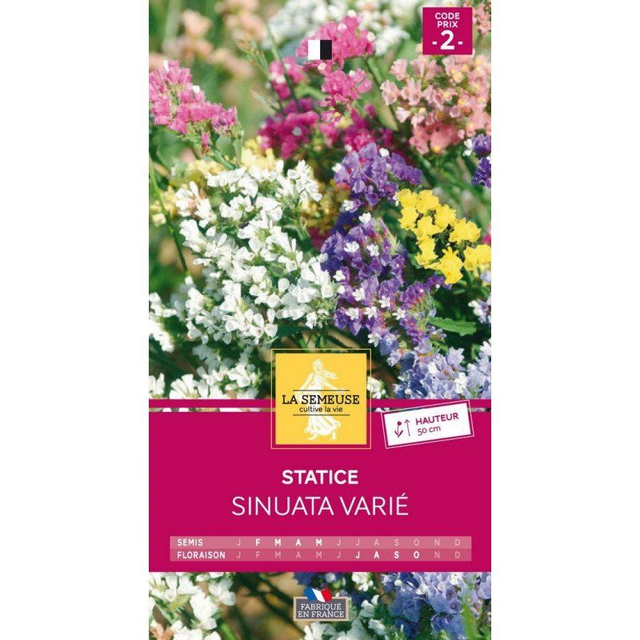 STATICE SINUATA VARIE