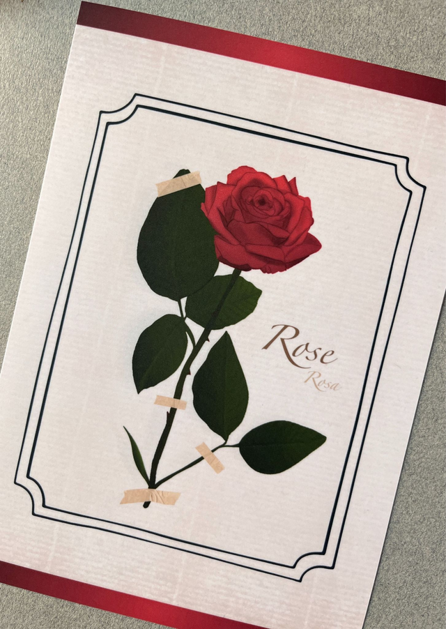 Affiche 06. La Rose (juin)