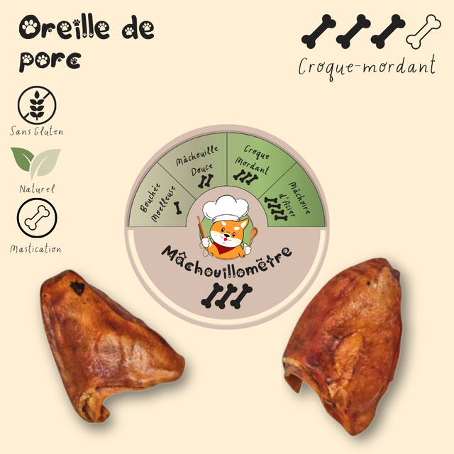 Oreille de porc