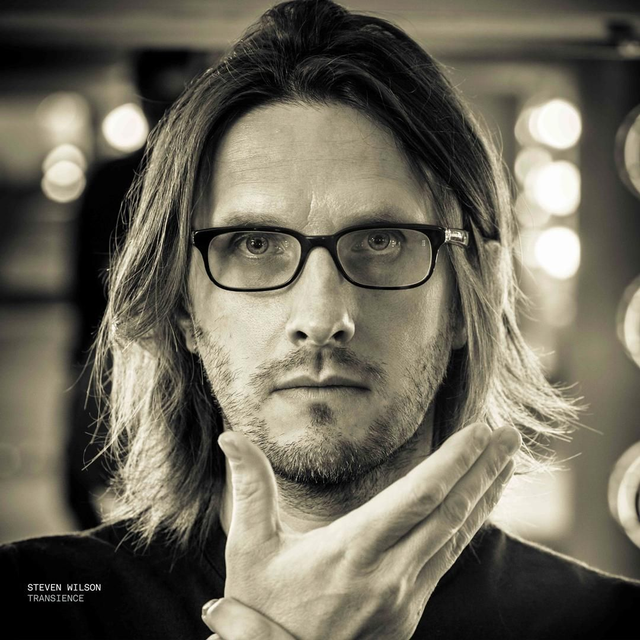 Steven Wilson - Transience [LP]/DMW