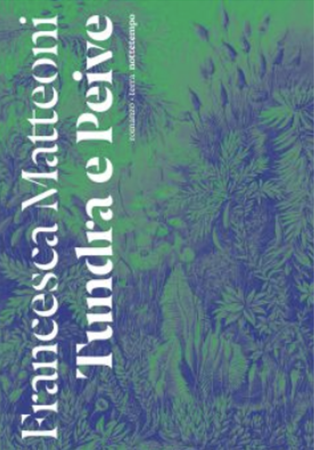 Matteoni Francesca - Tundra e Peive (nottetempo)