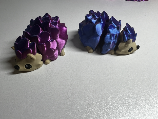 Hedge hogs 