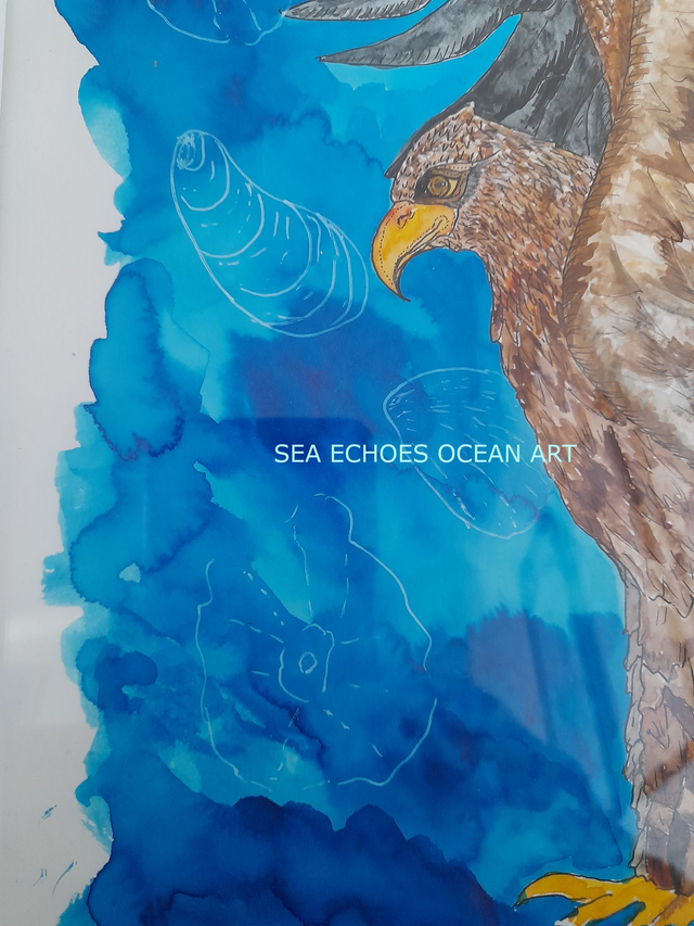 Serene Sea Eagle (Original Art)