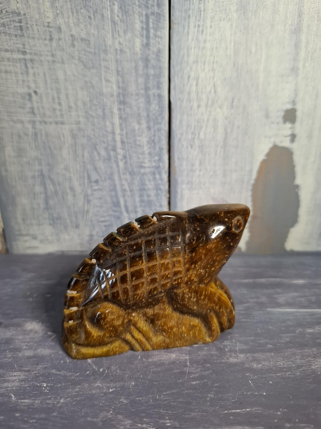 Gold Tiger's Eye Lizard 