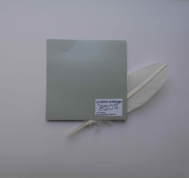 L'étoie de Noël de la carte argentée