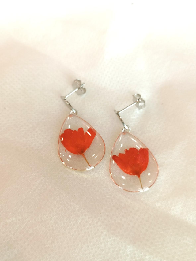 Ail rose - Modèles 3&amp;4