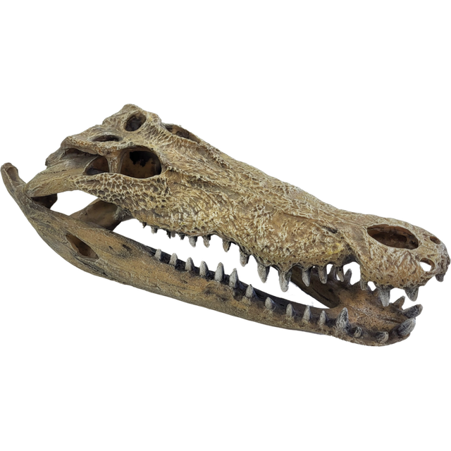 Repto Deco Crocodile XXL – Décoration terrarium pour reptile – 47 cm x 20 cm x 15 cm