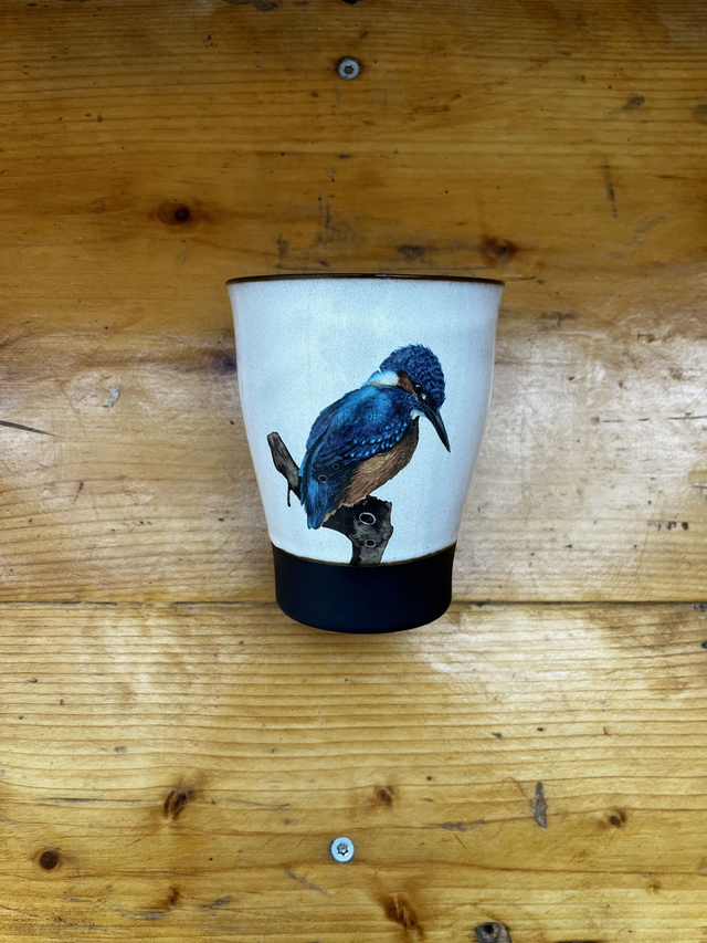 Teebecher Eisvogel hinten (MSM) - Wiener Wildnis 