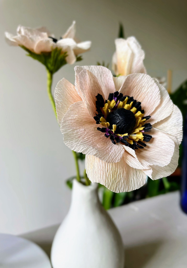 Anémone  &quot;Selma&quot; avec son vase artisanal offert