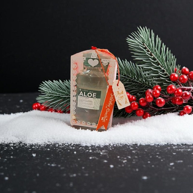 Chogan &amp; Aurodhea Christmas Oral Care Gift Set 