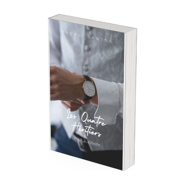 Les Quatre Héritiers - Tome 3