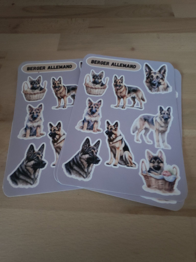 Planche stickers Berger allemand