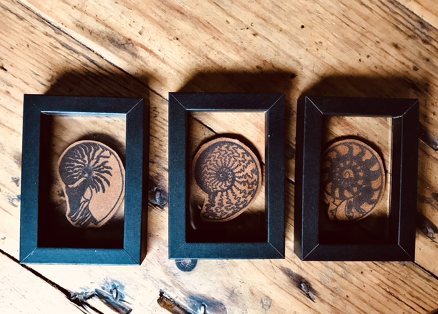 Triptyque nautiles 